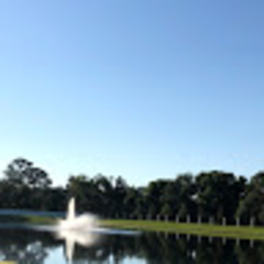 Meet your Posher, Navi
